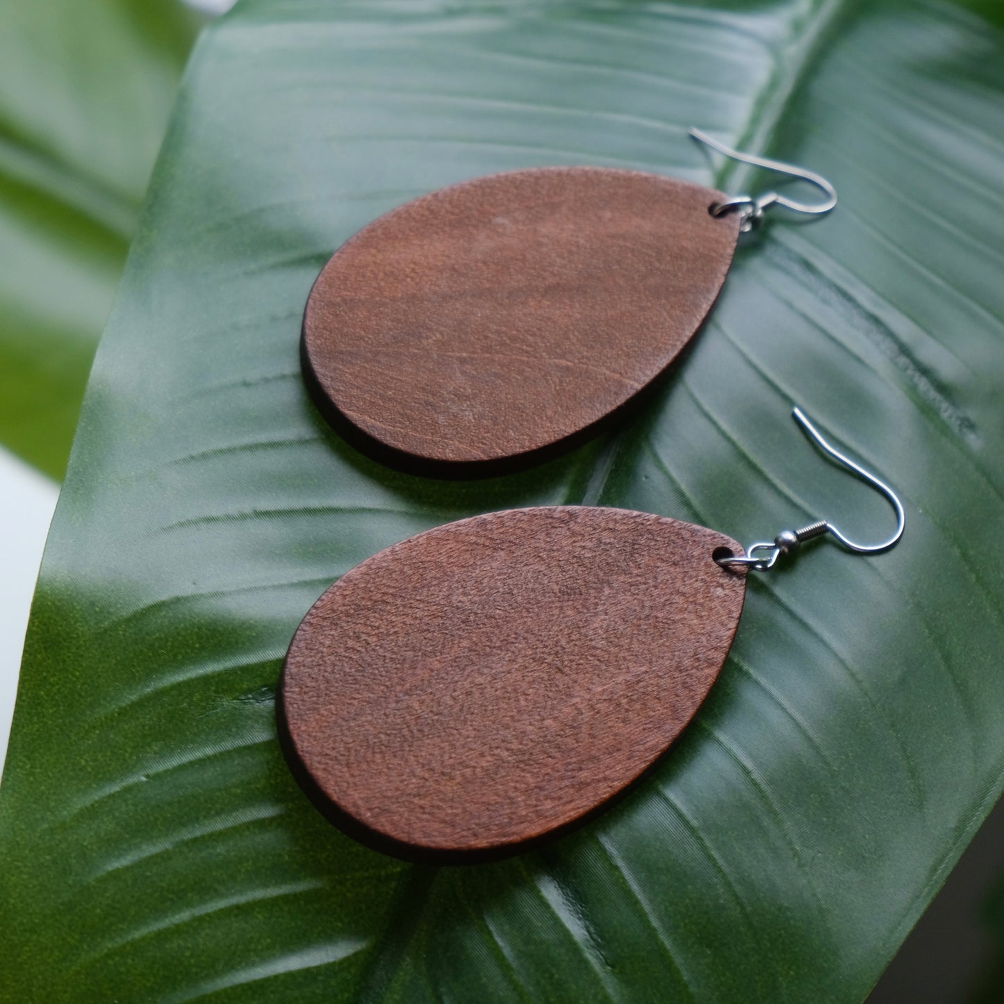 Hermosa Wood Earrings