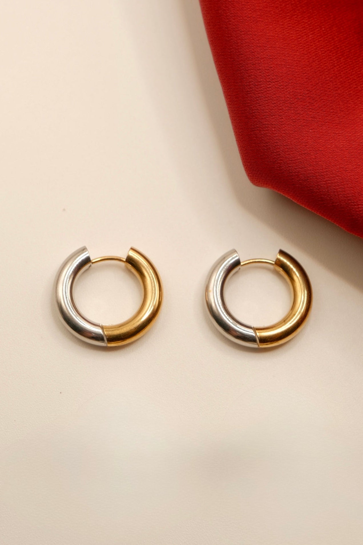 Anya Two-toned Hoop Earrings (Medium)
