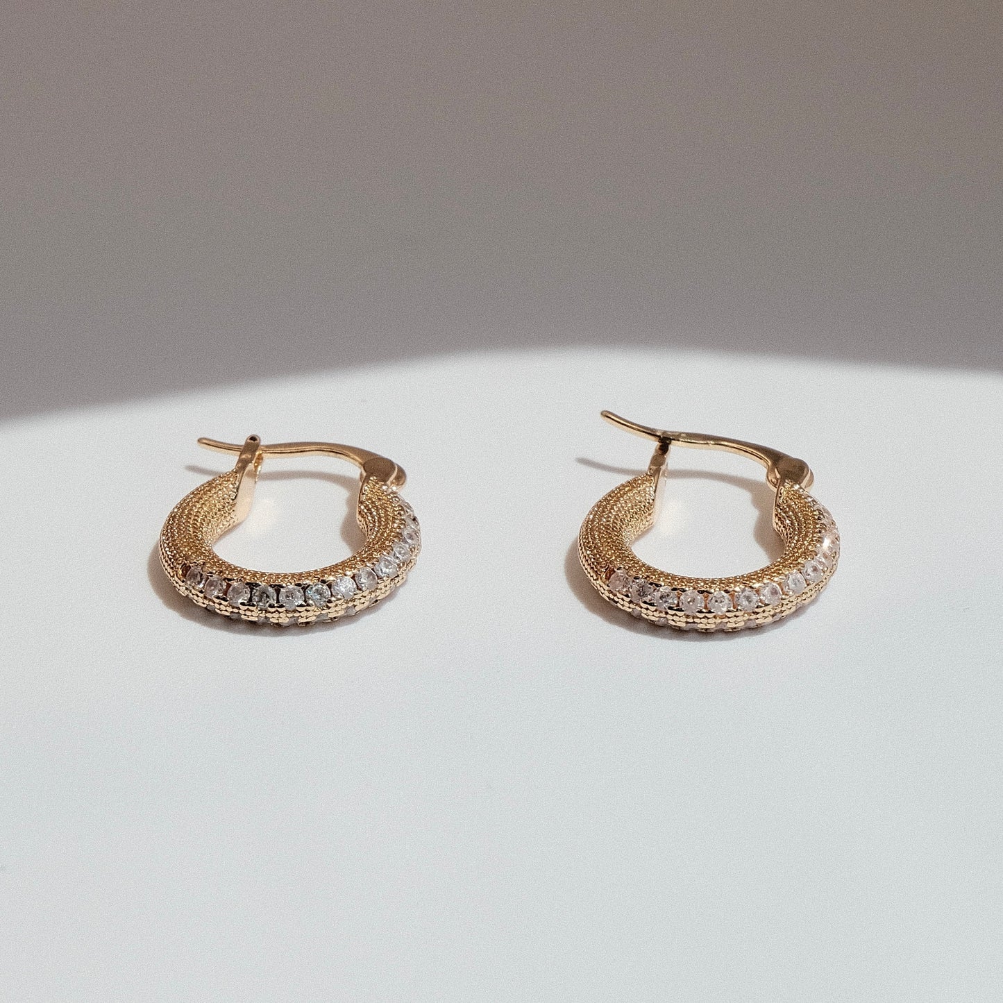 Alicia HOOPS Horse shoe Zircon Earrings