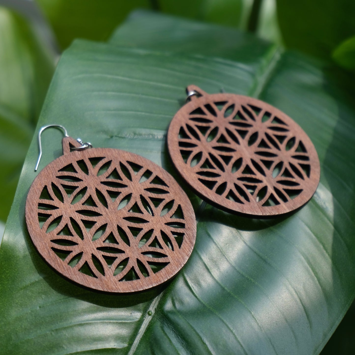 Hermosa Wood Earrings