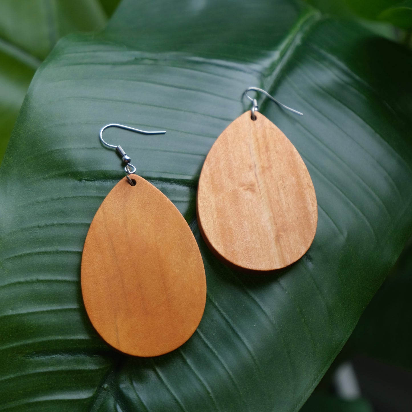 Hermosa Wood Earrings