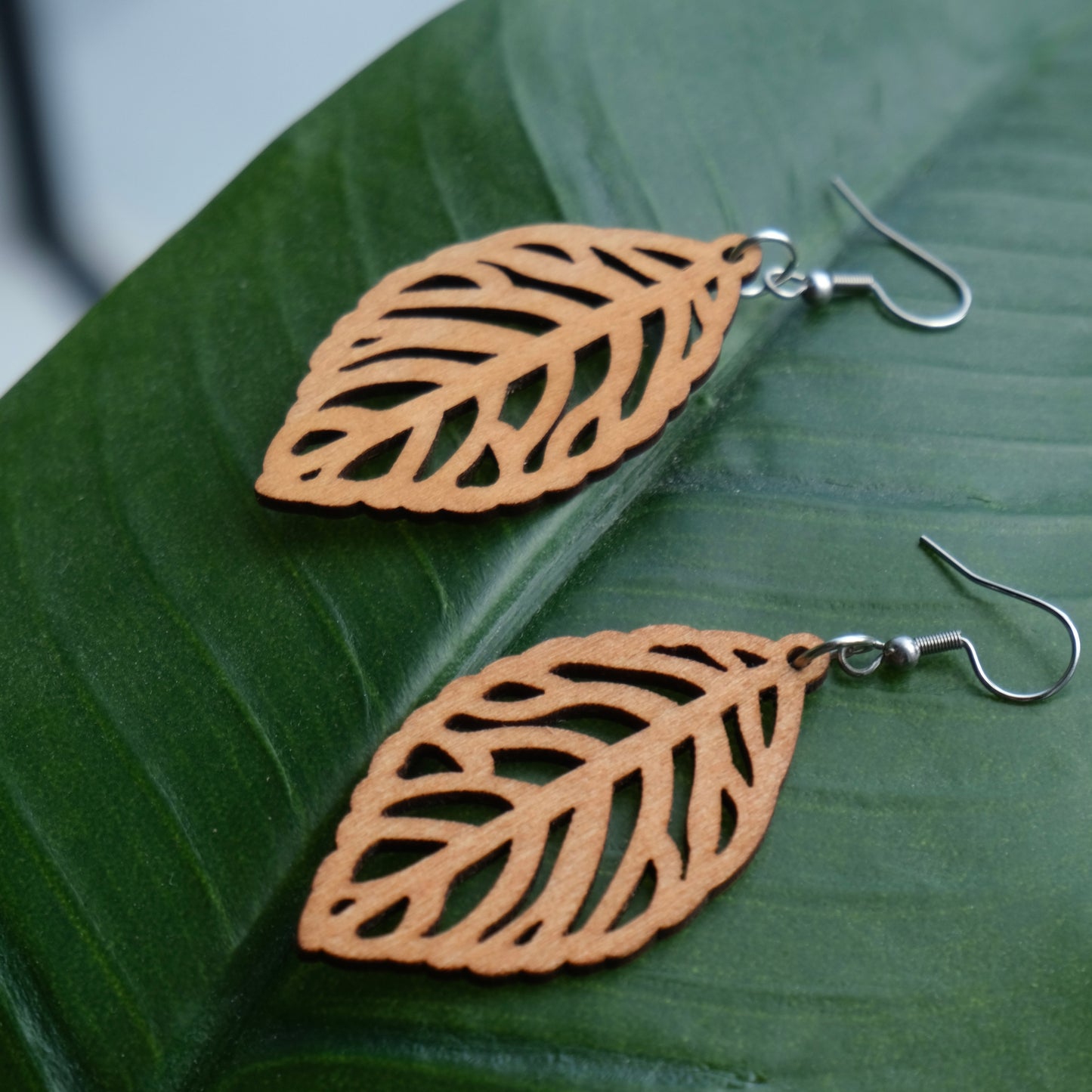 Hermosa Wood Earrings